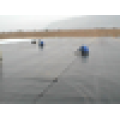 hot sales 1.2mm 1.5mm 2.0mm hdpe pond hdpe membrane sheet